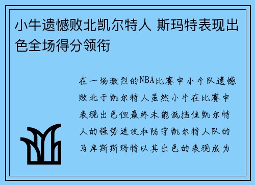 小牛遗憾败北凯尔特人 斯玛特表现出色全场得分领衔