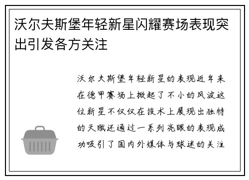 沃尔夫斯堡年轻新星闪耀赛场表现突出引发各方关注